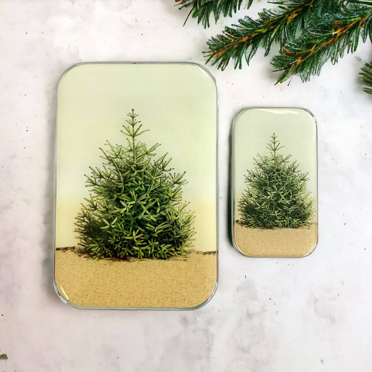 Boîte à idées Pine Tree