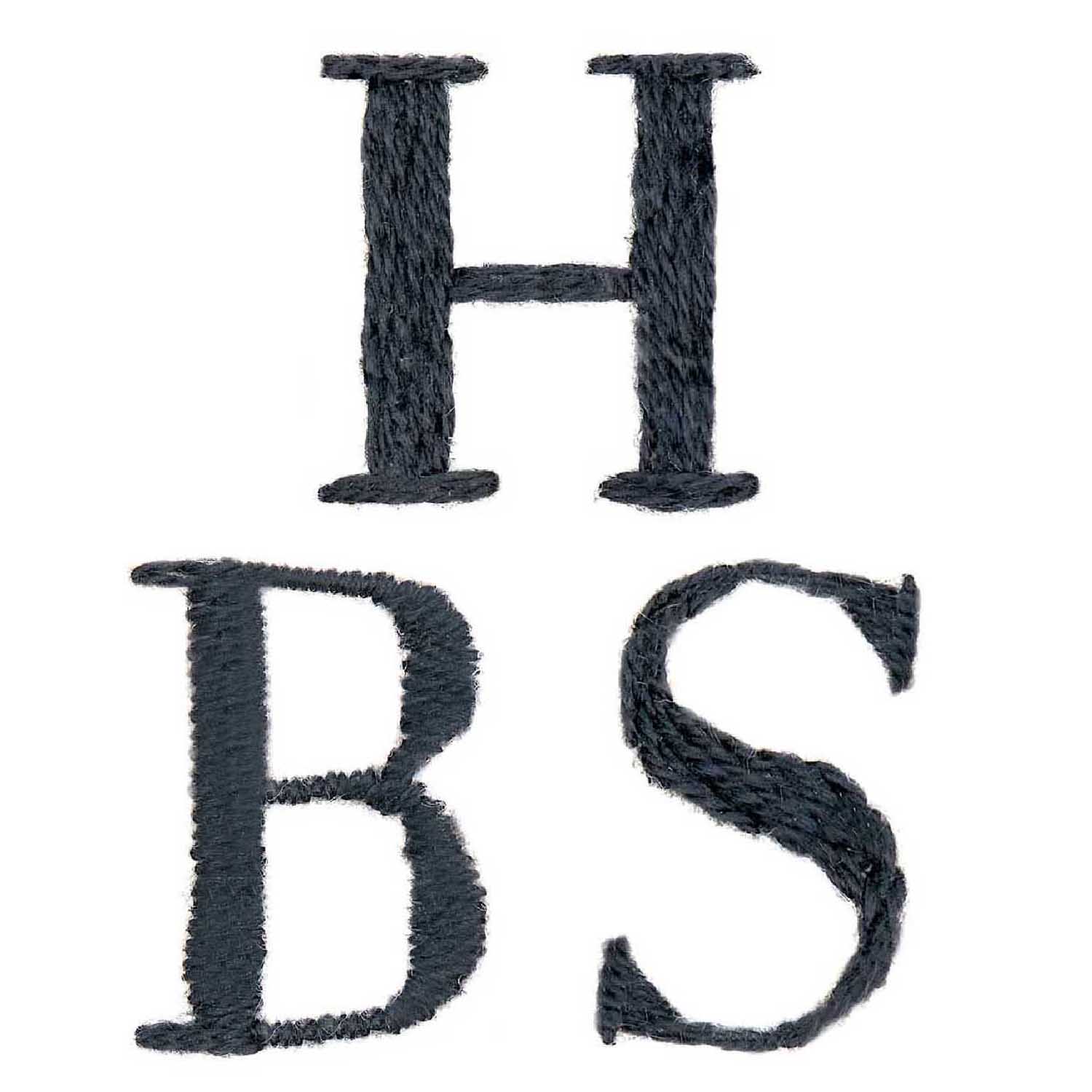 Stick and Stitch - broderie en patchs