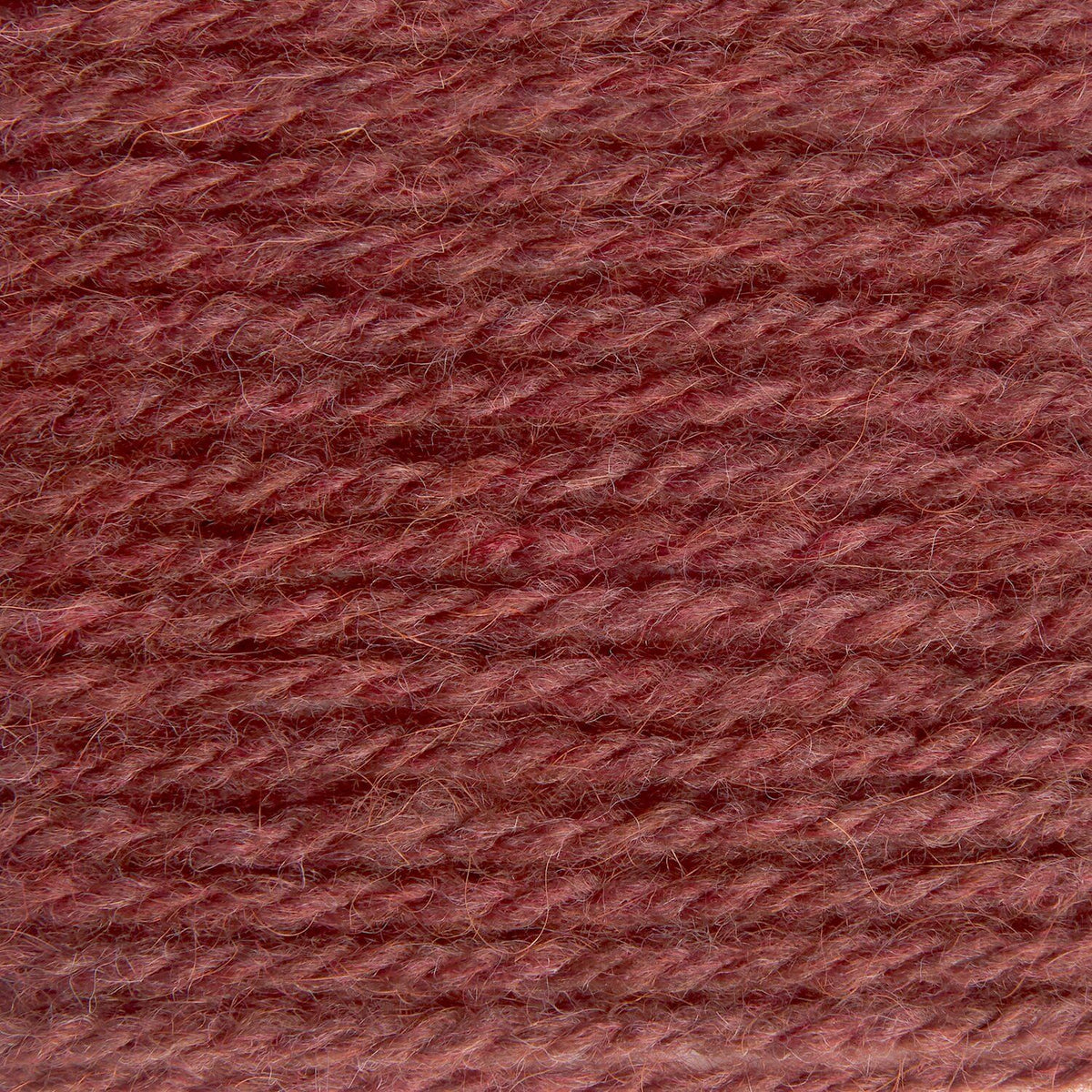 Soft Alpaca