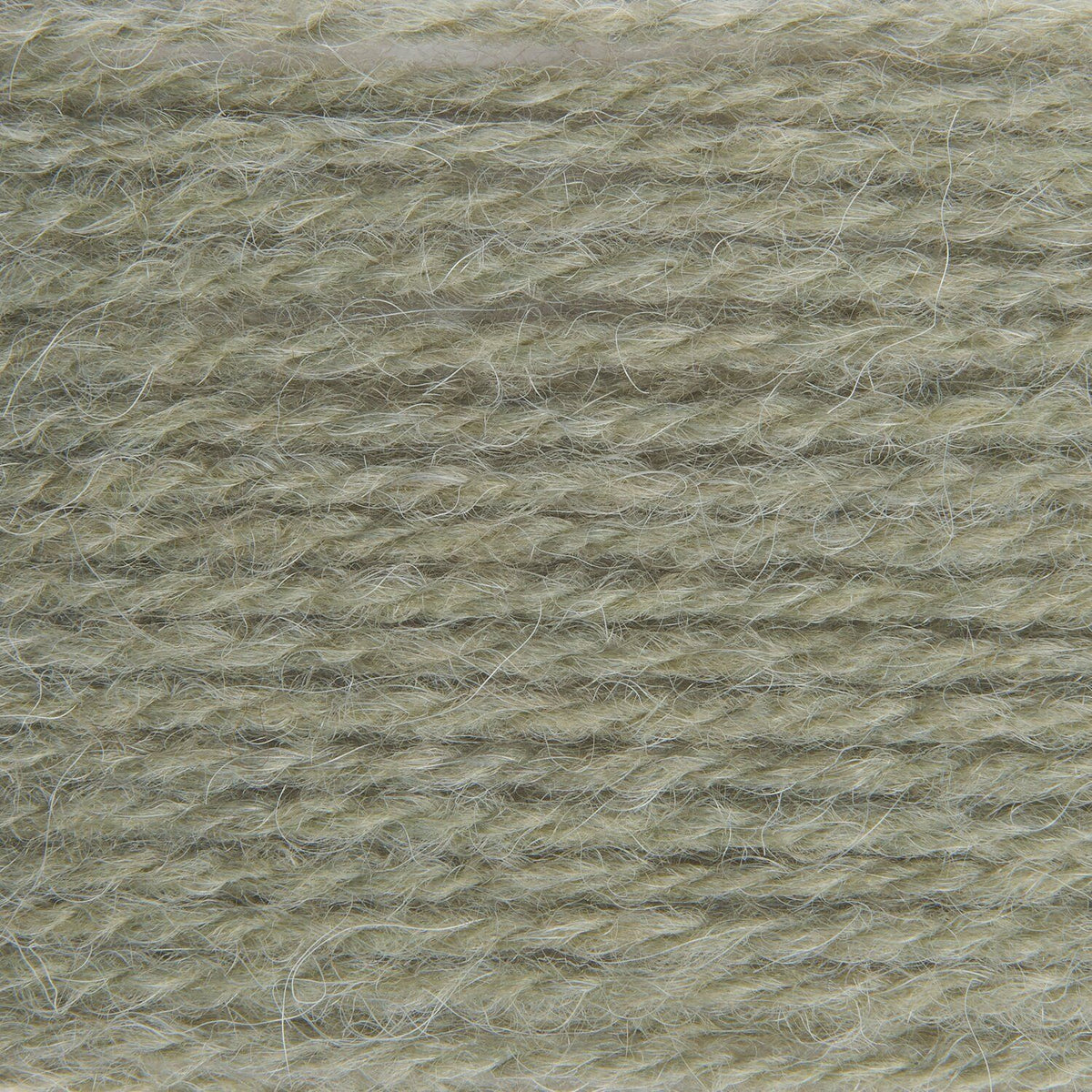 Soft Alpaca