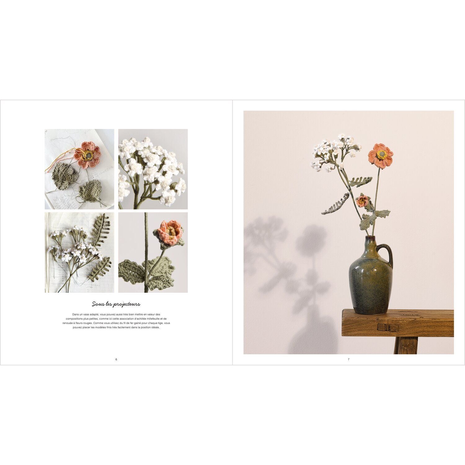 Catalogue Ricorumi dans le pré