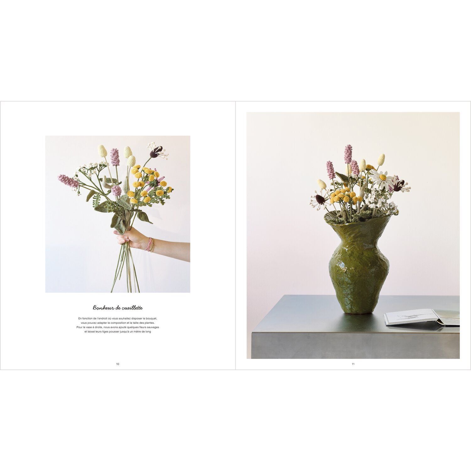 Catalogue Ricorumi dans le pré