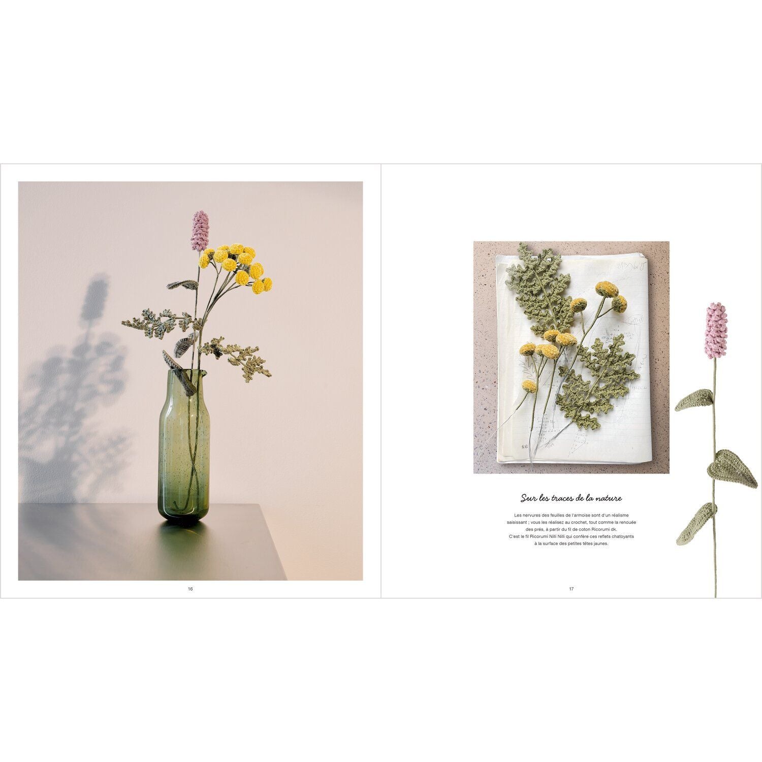 Catalogue Ricorumi dans le pré