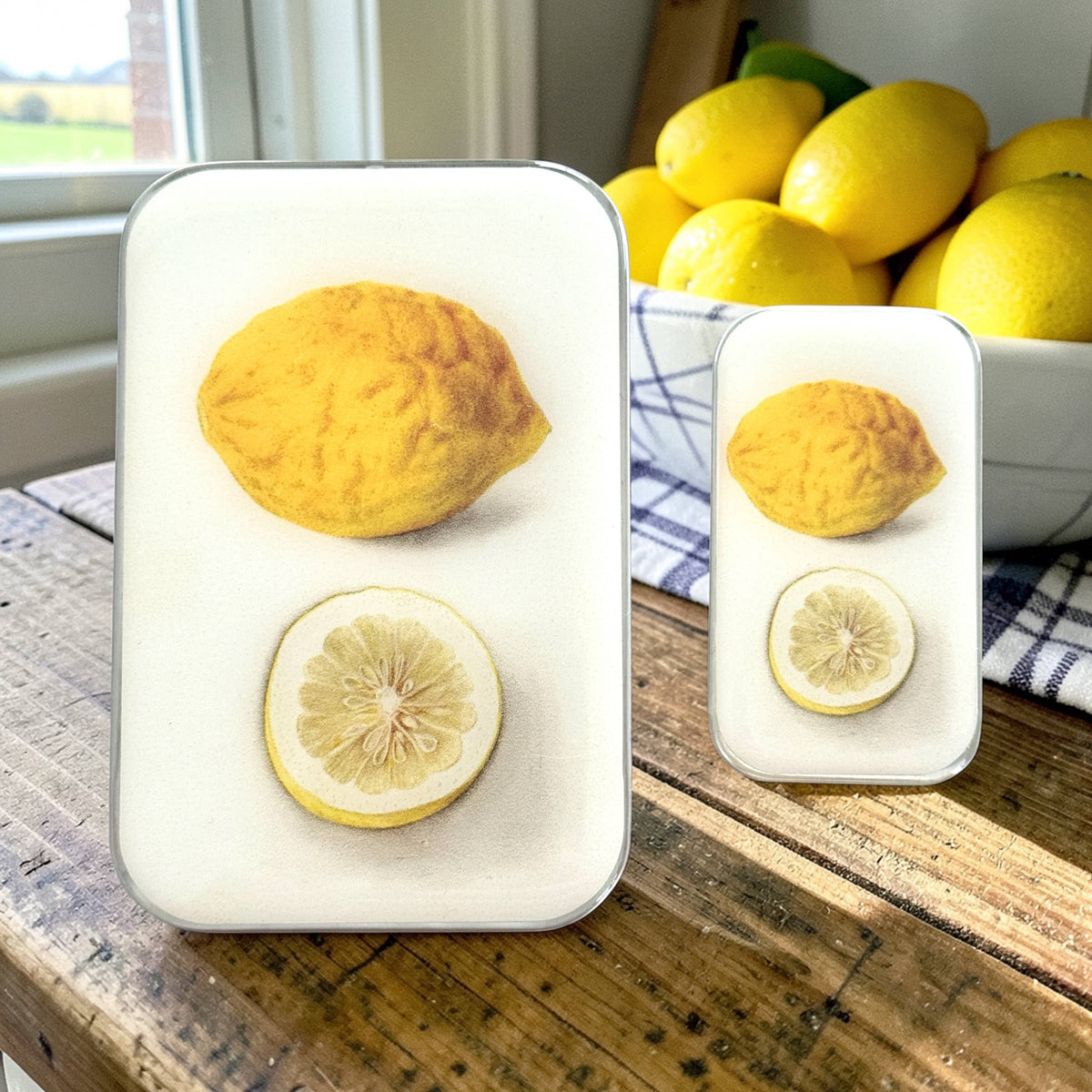 Citron Botanique, Boîte à marqueurs