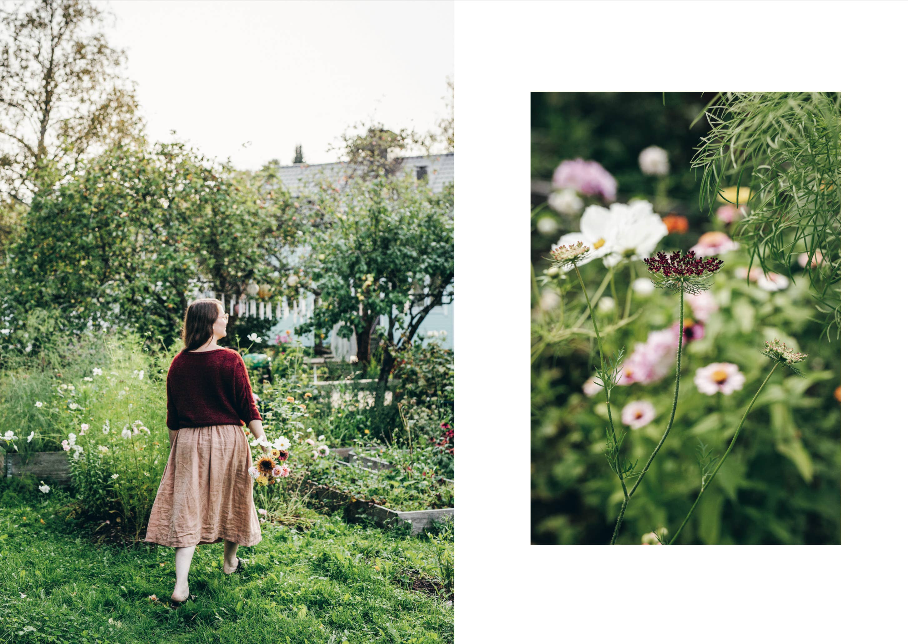 Knits from our gardens