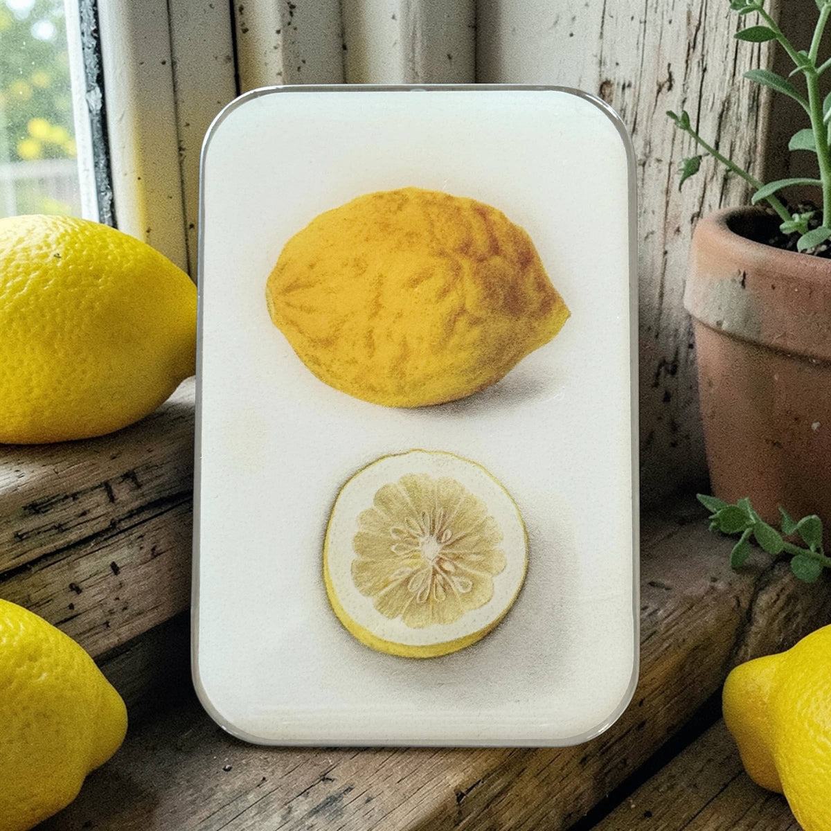 Citron Botanique, Boîte à marqueurs