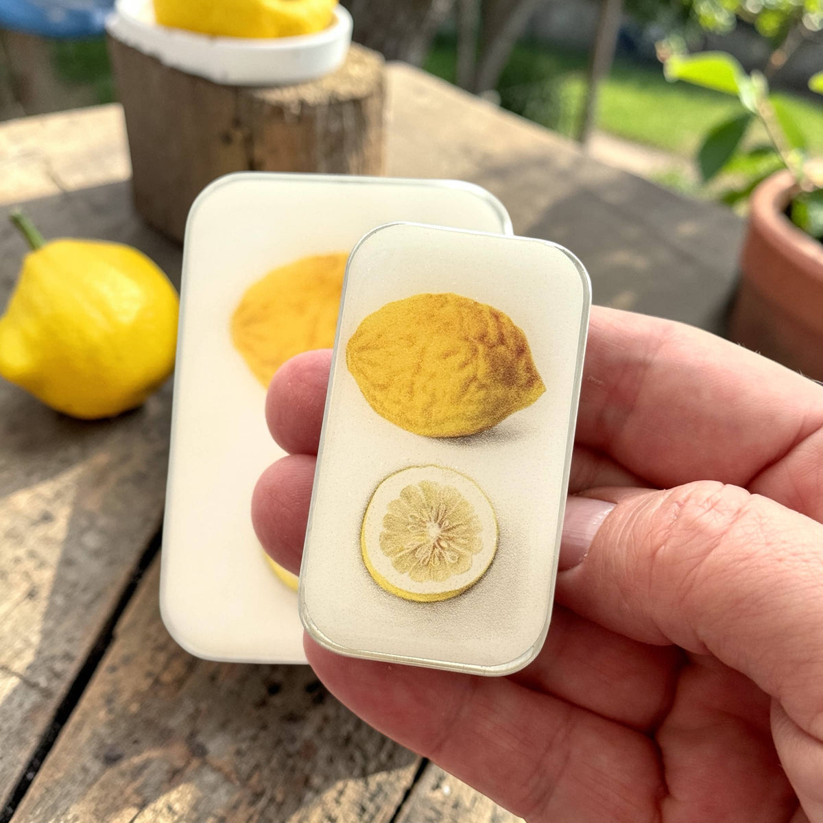 Citron Botanique, Boîte à marqueurs