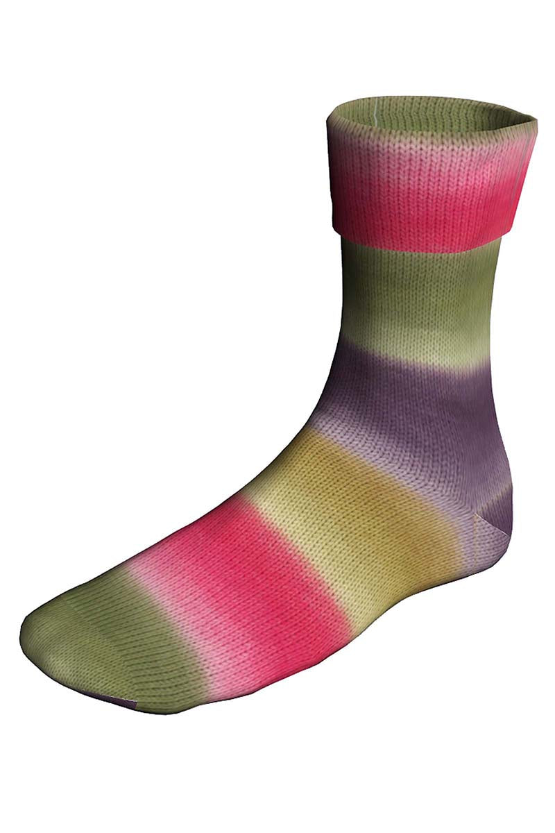 Super Soxx Color 4 ply