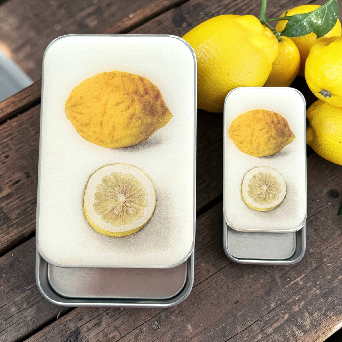 Citron Botanique, Boîte à marqueurs