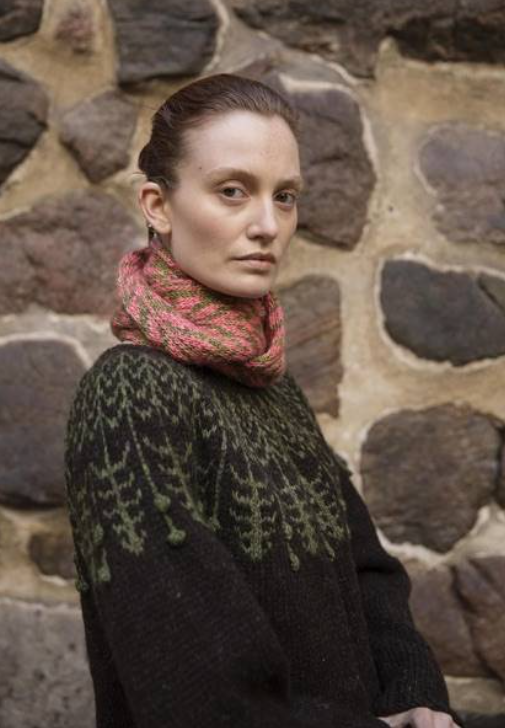 Tricot nordique 2