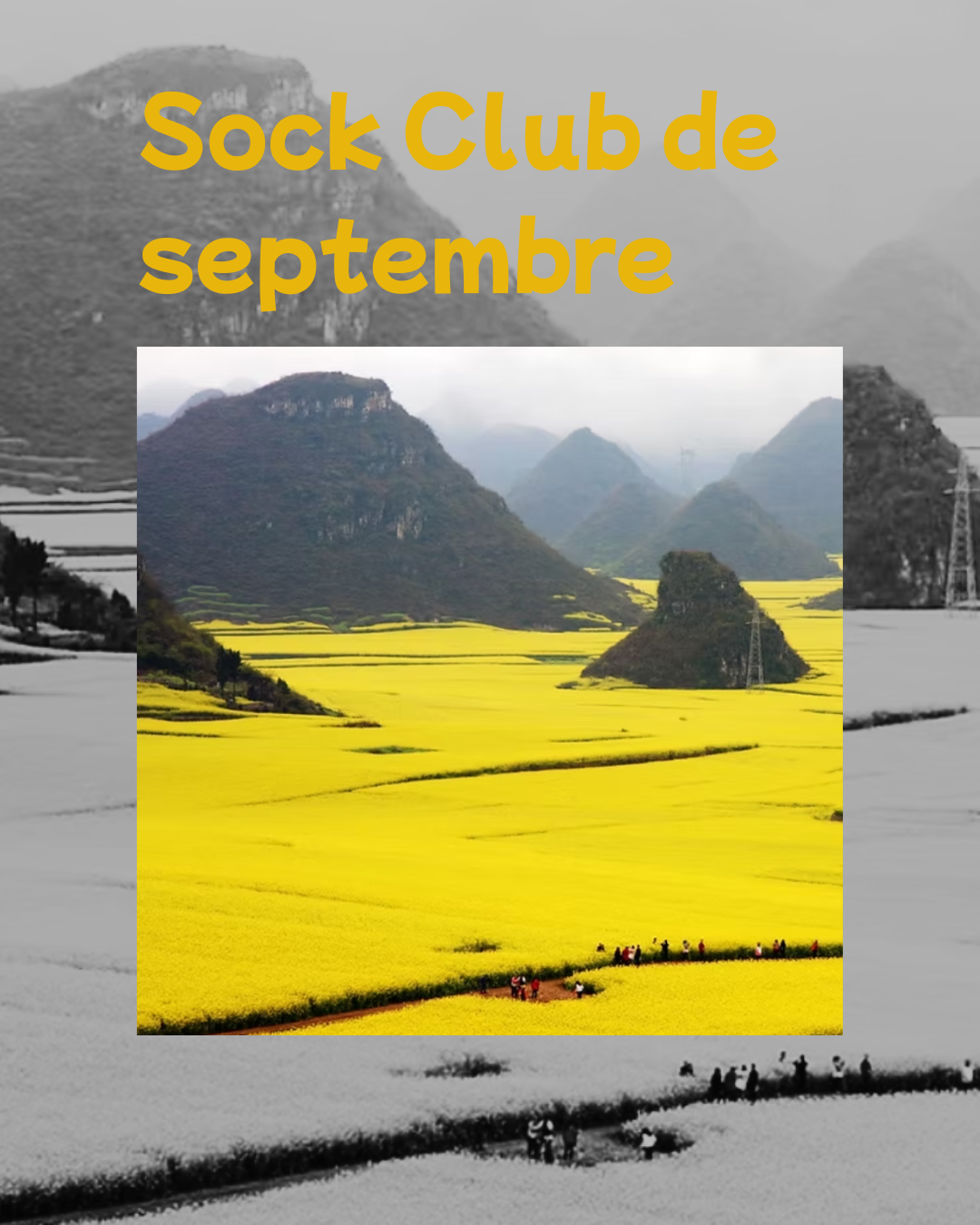 Sock Club de septembre - Xion Luoping