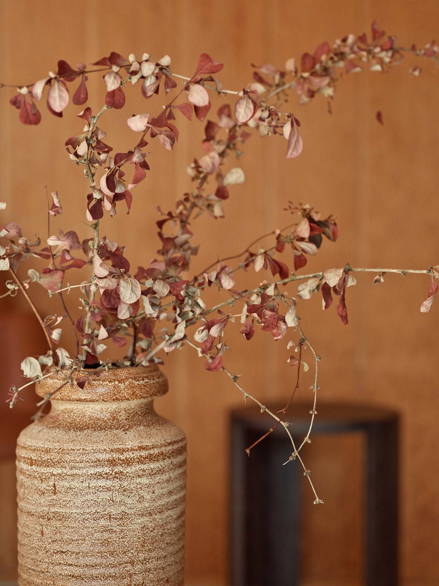 Laine Magazine Issue 18