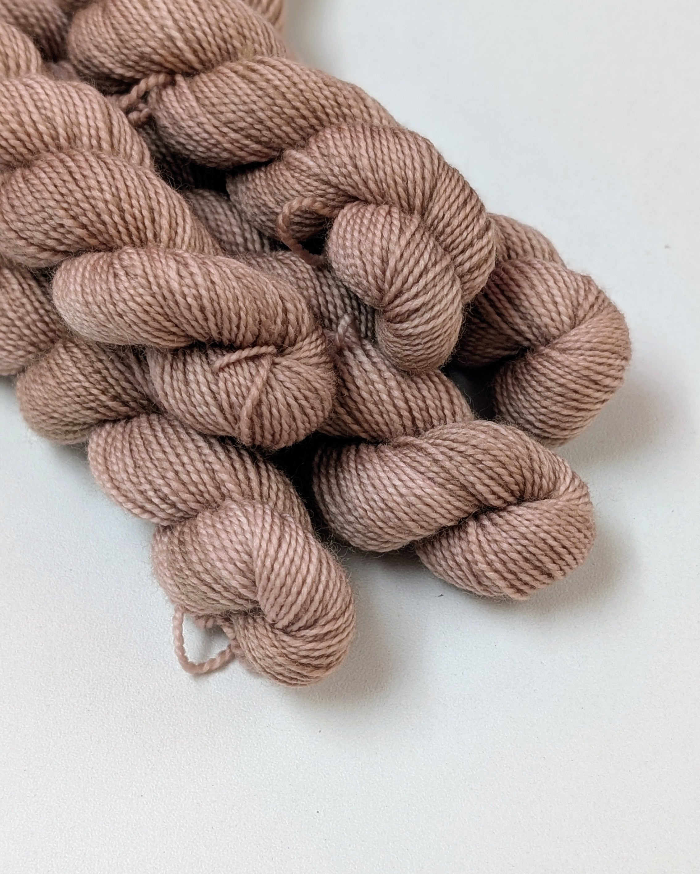 Chaton (minis 20g)