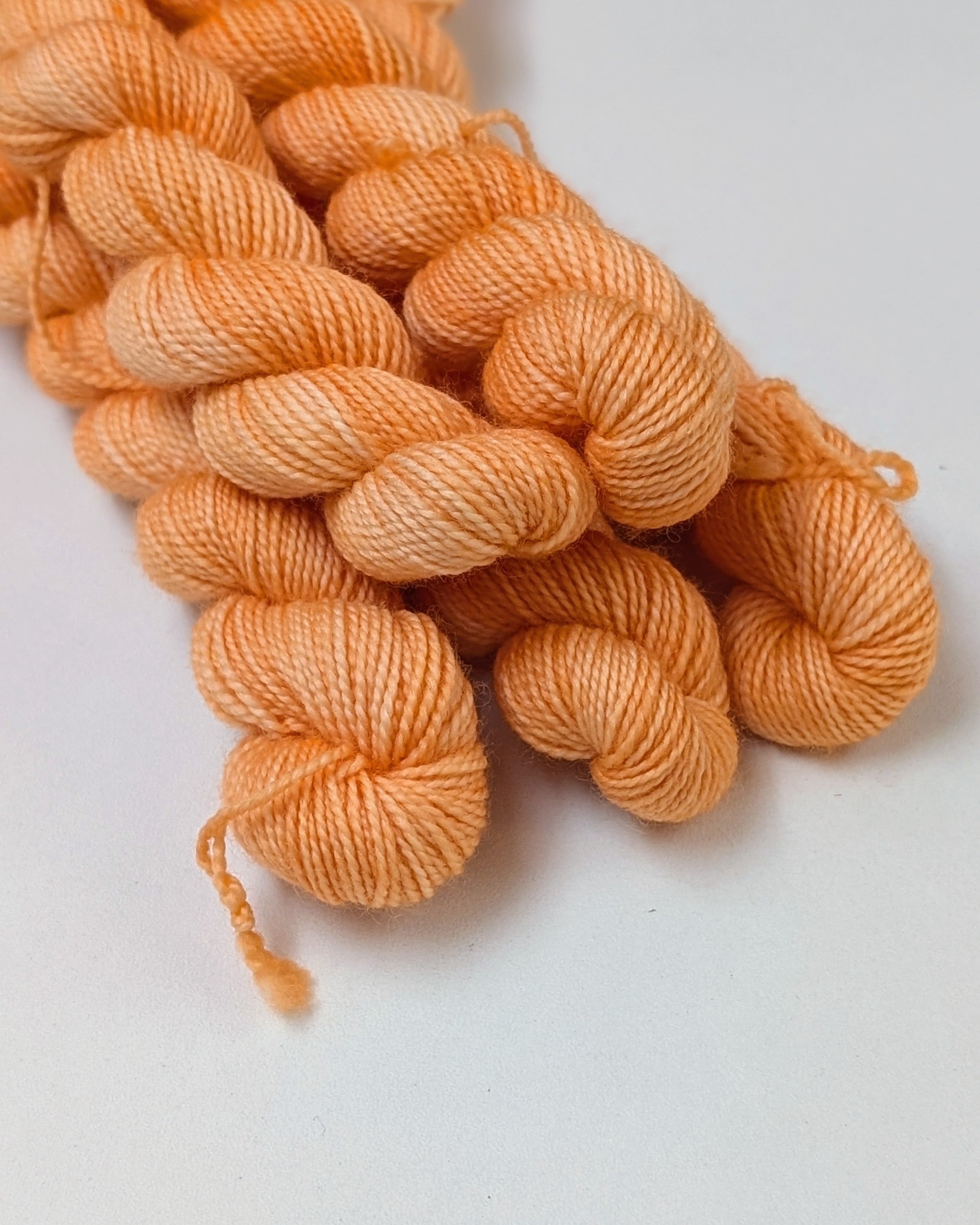 Chaton (minis 20g)
