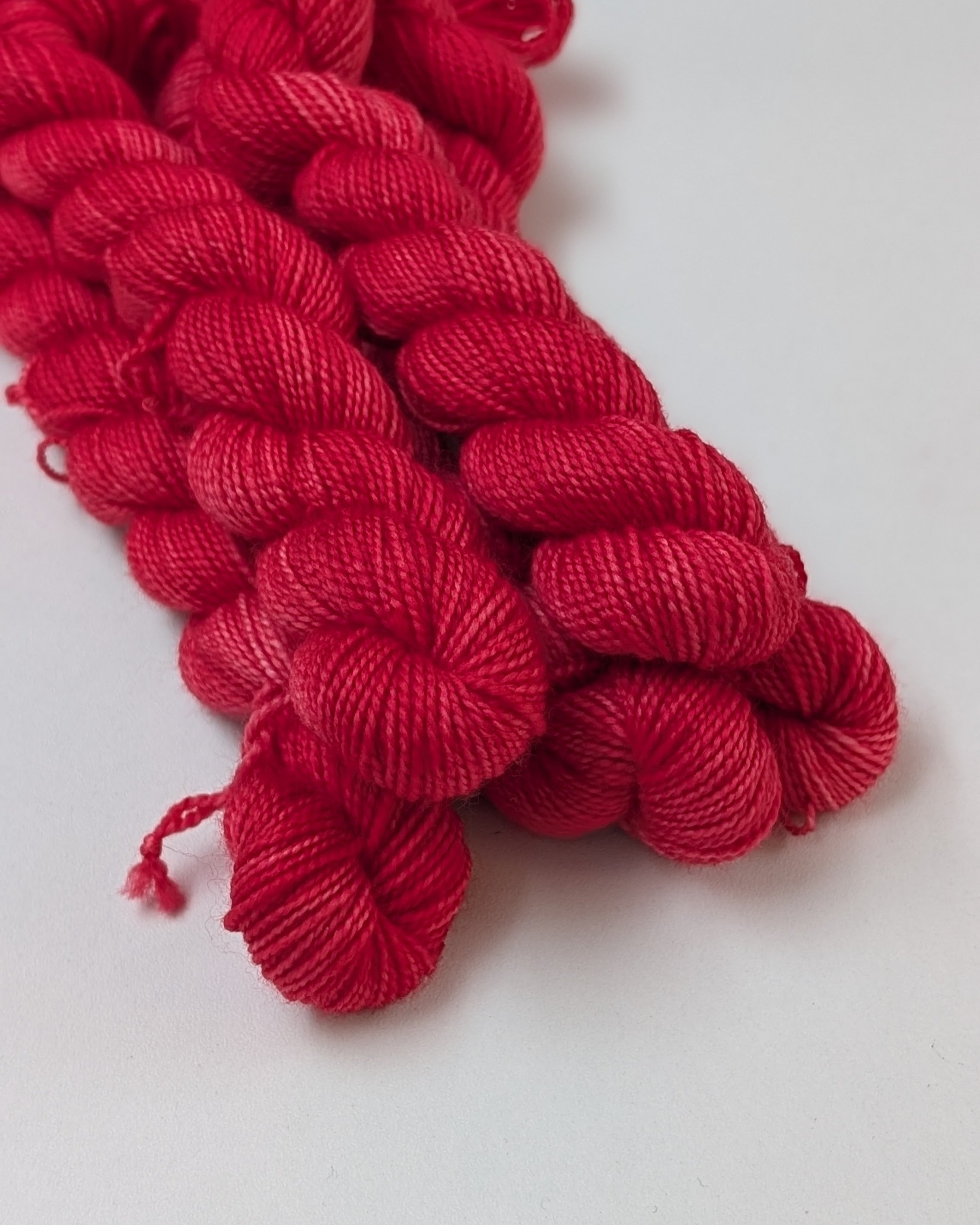 Chaton (minis 20g)