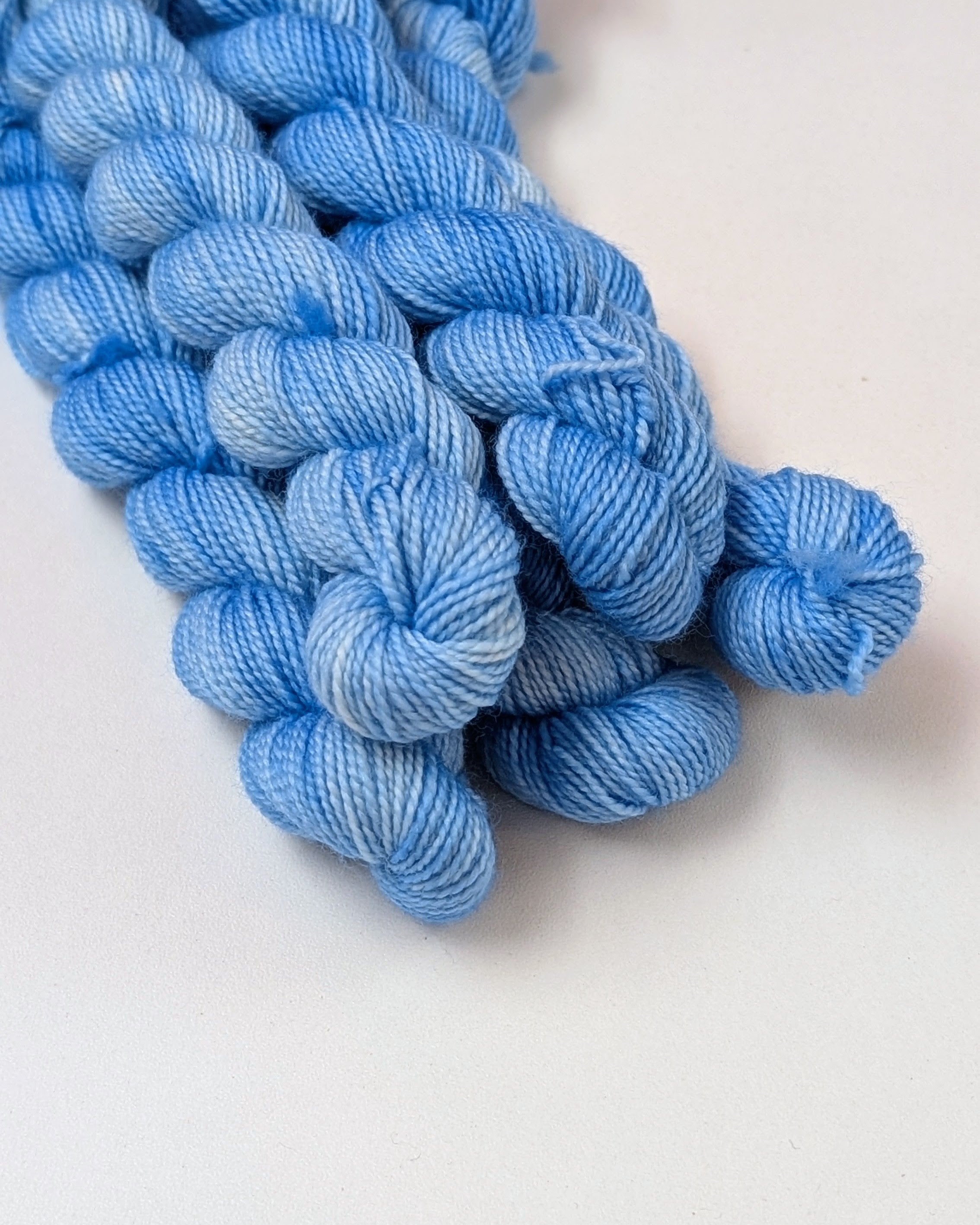Chaton (minis 20g)
