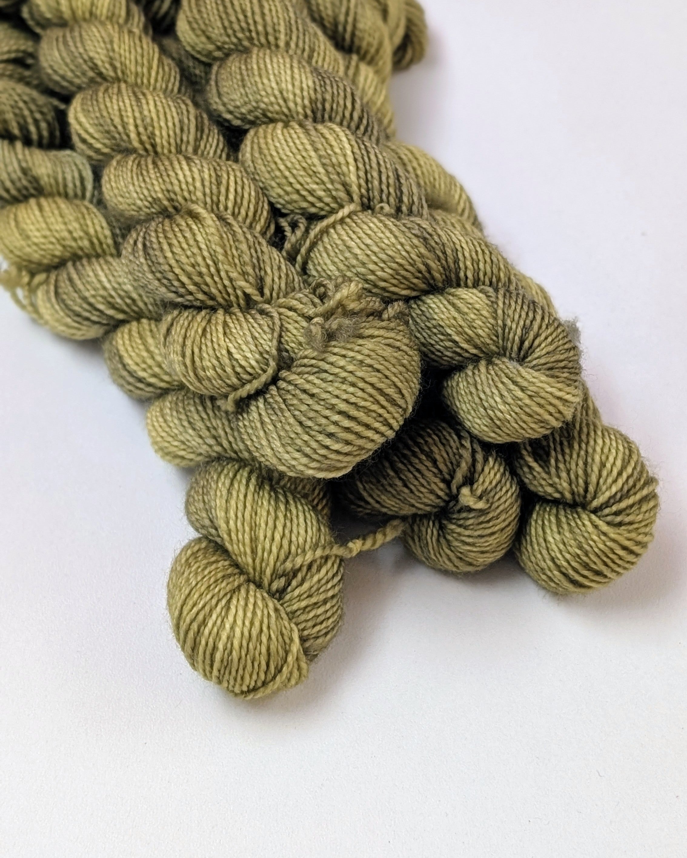 Chaton (minis 20g)
