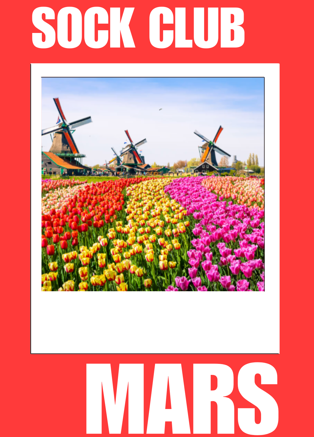 Sock Club de Mars - Champs de Tulipes aux Pays-Bas