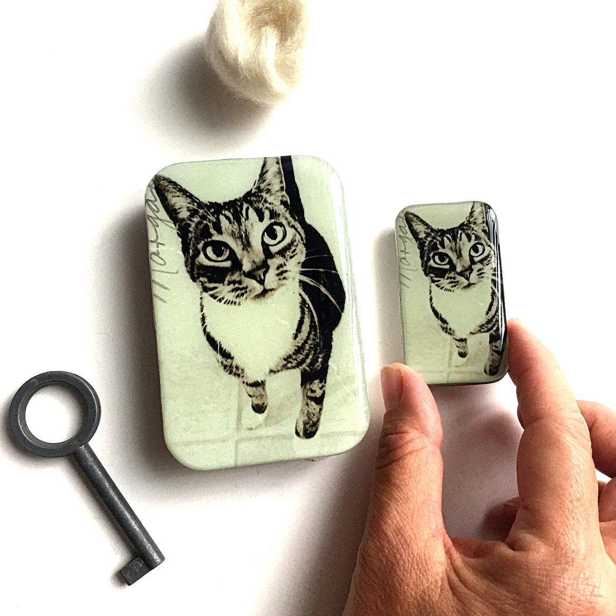 Chat, Boîte à marqueurs