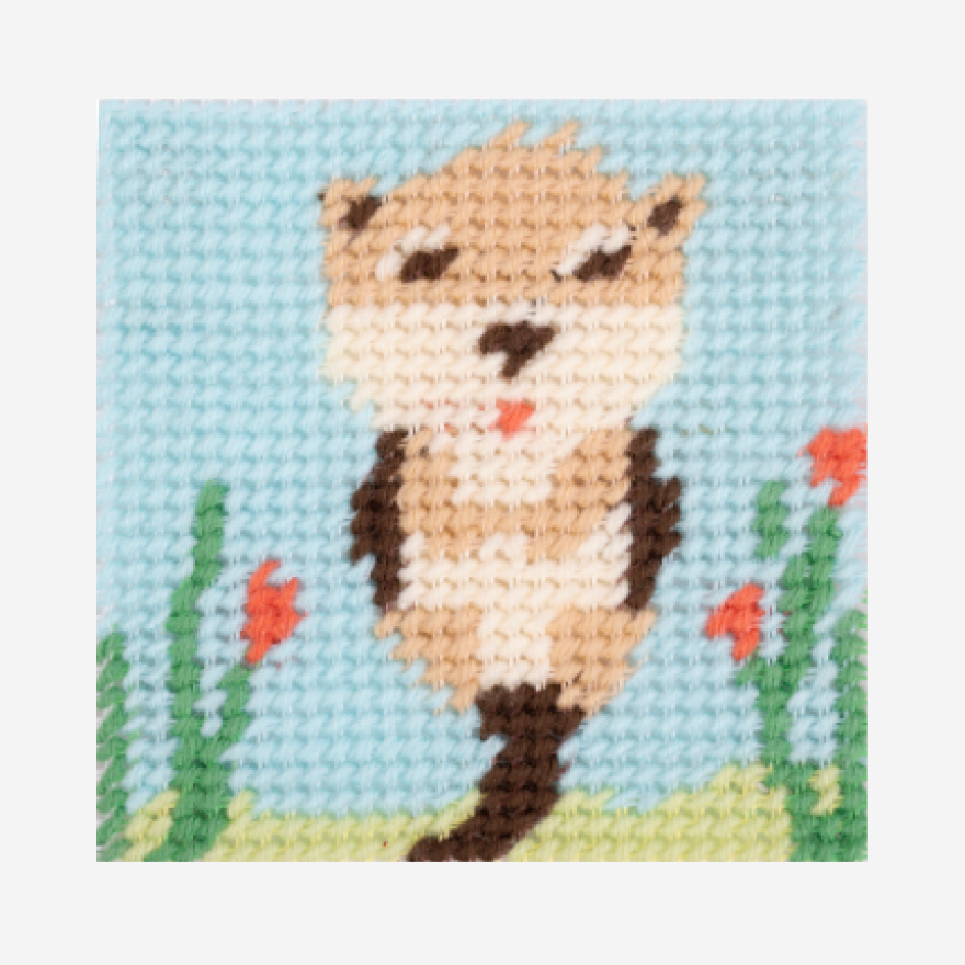 Ollie la loutre - Kit canevas