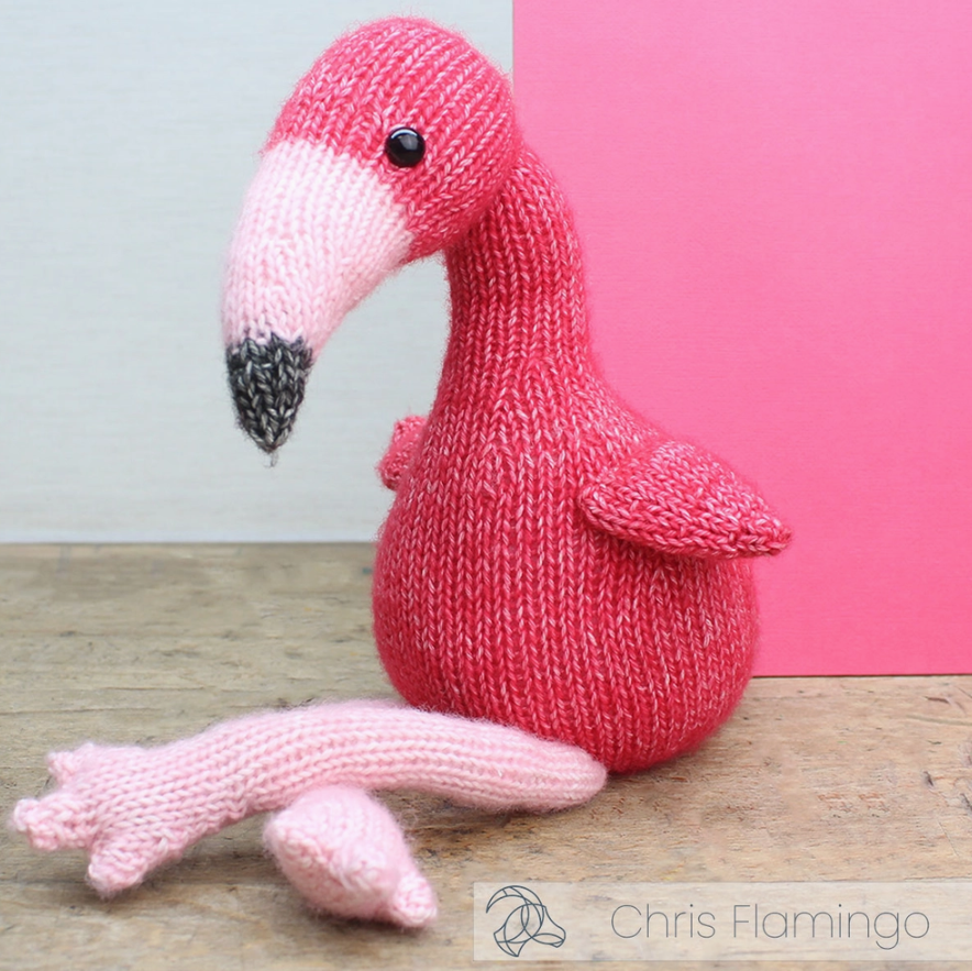 Kit tricot Chris Flamingo