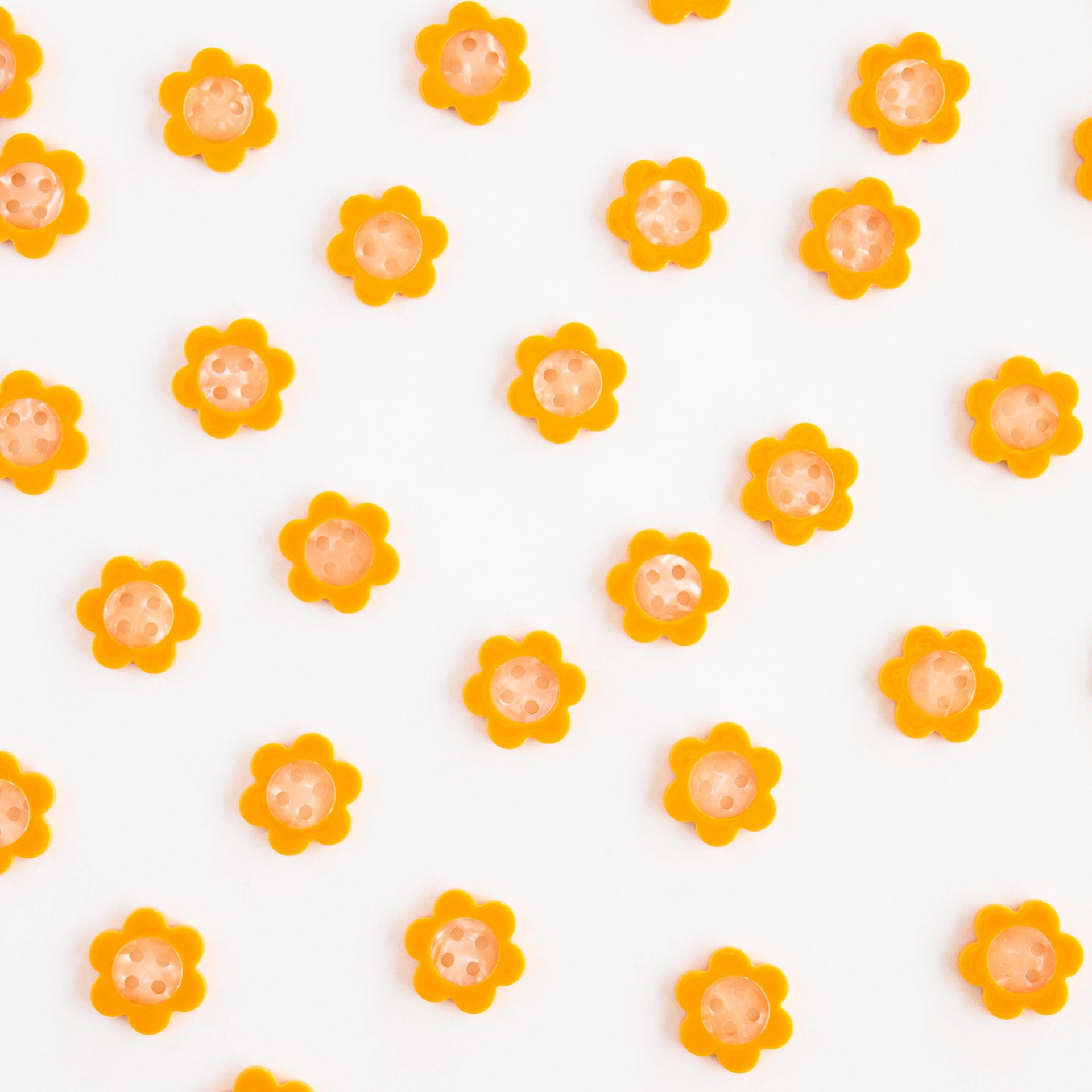 Boutons Marguerite Jaune 15 mm