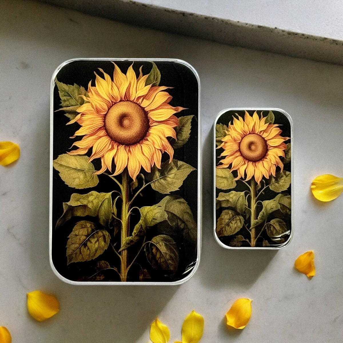 Beautiful Sunflower, boite à marqueurs