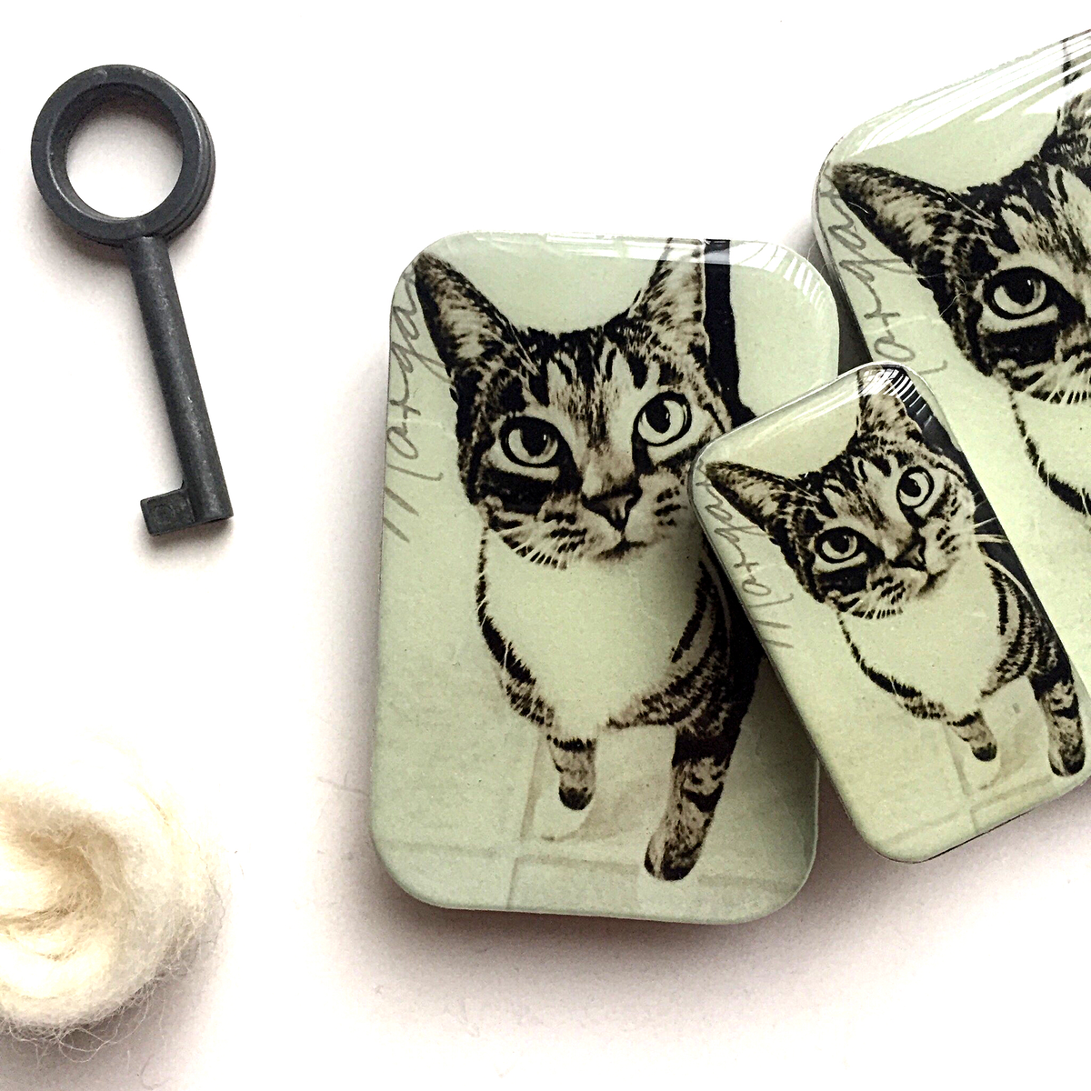 Chat, Boîte à marqueurs