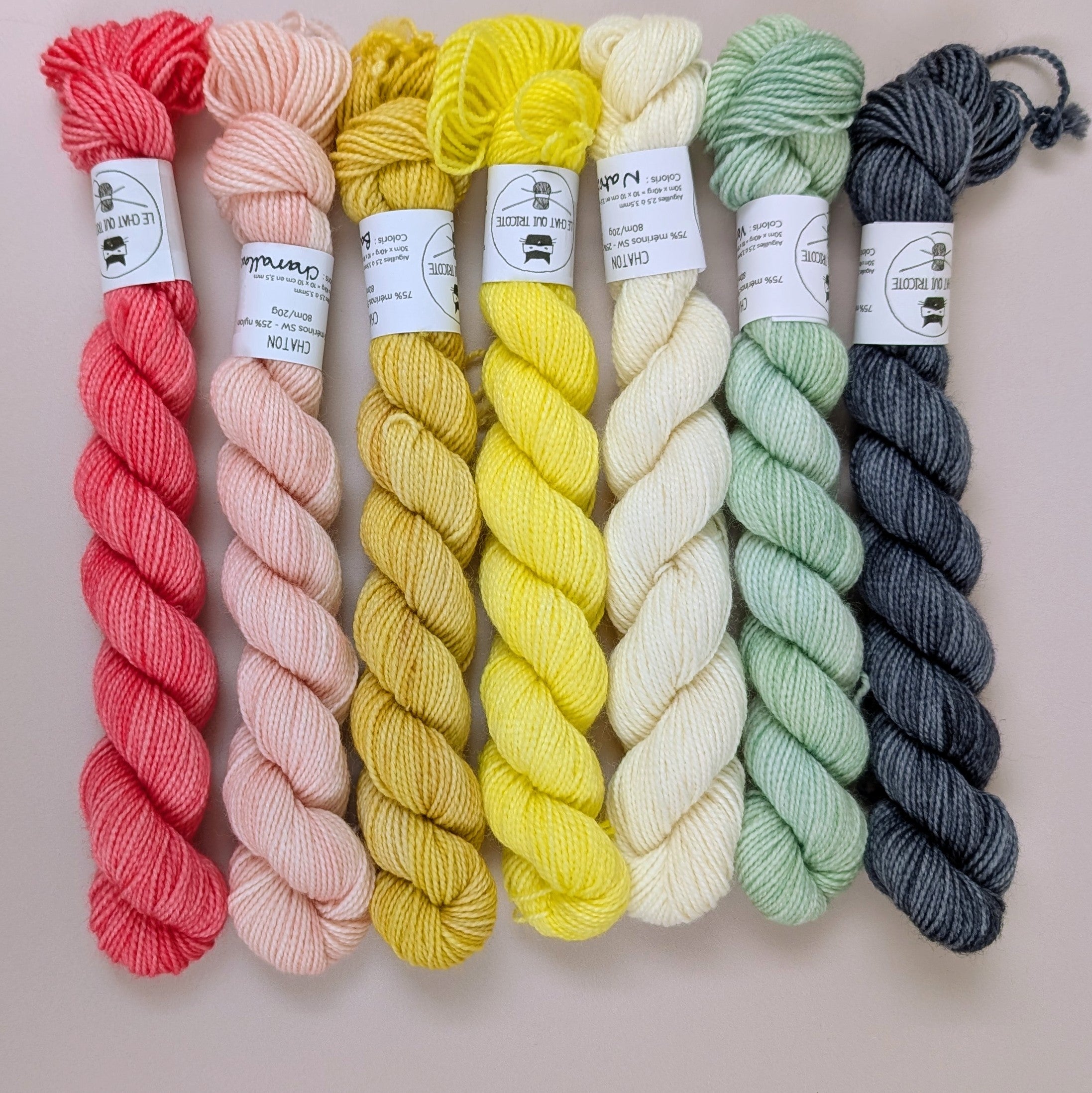 Chaton (minis 20g)