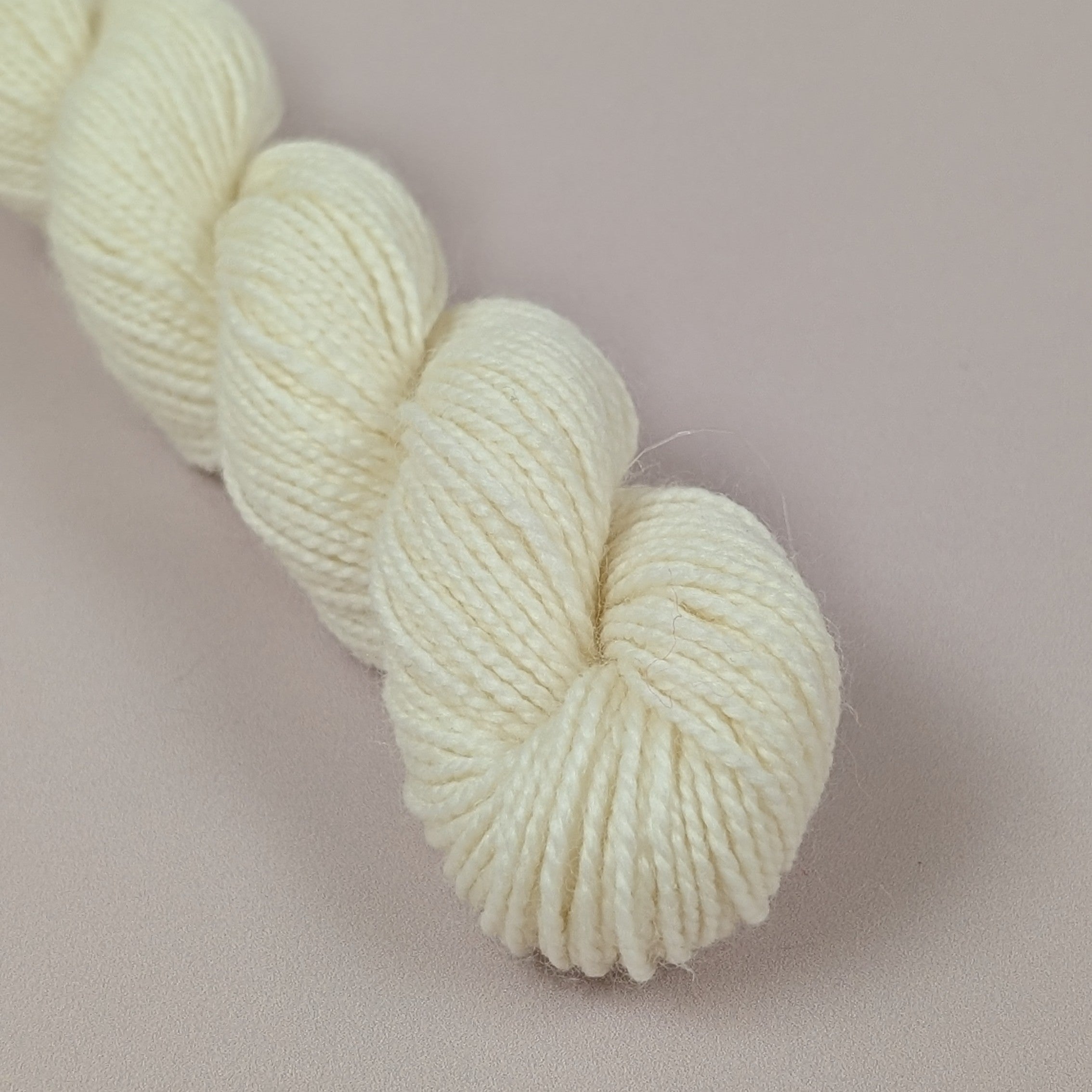 Chaton (minis 20g)