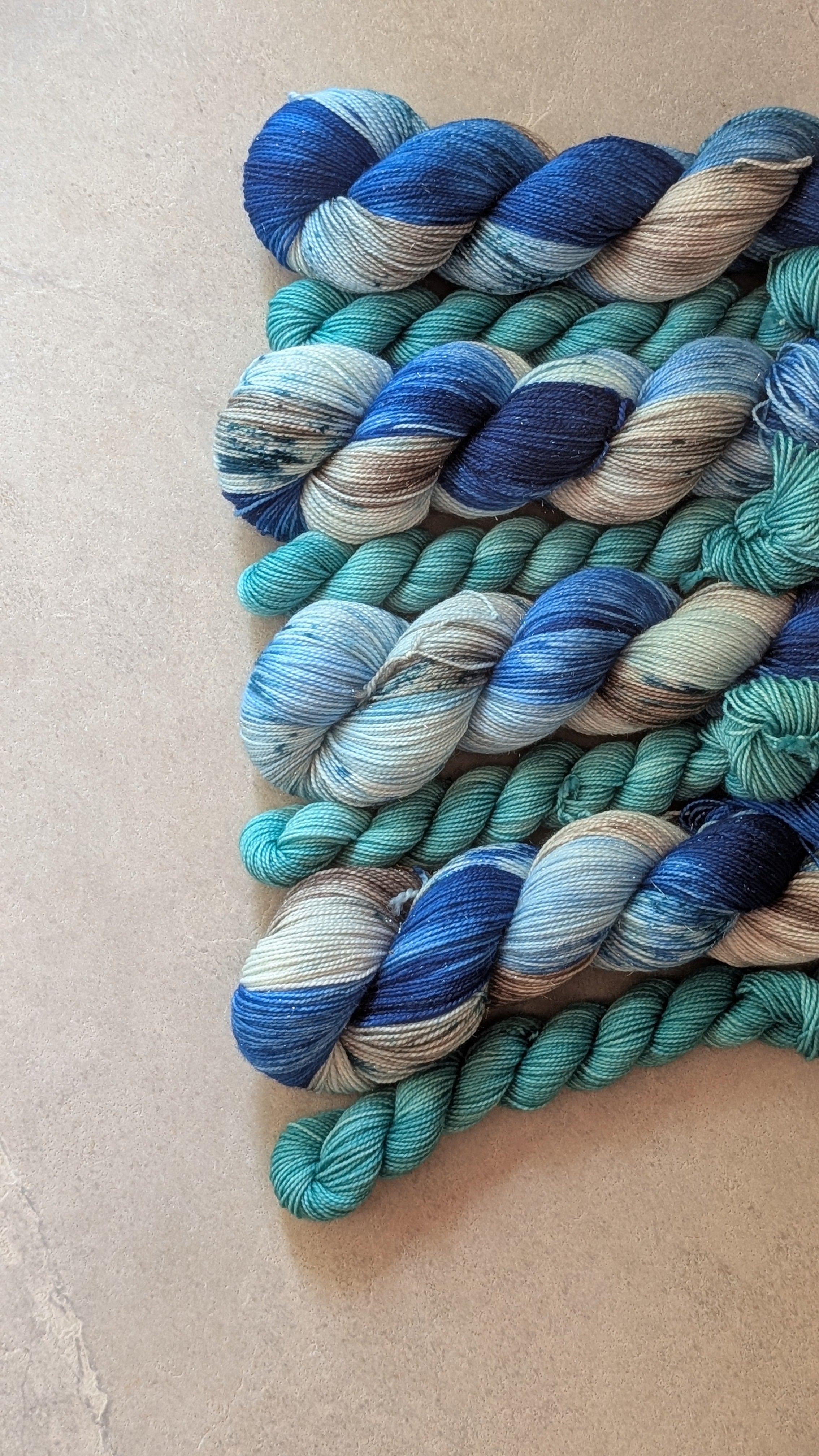 Sock Club d'août - La Grande Barrière de Corail