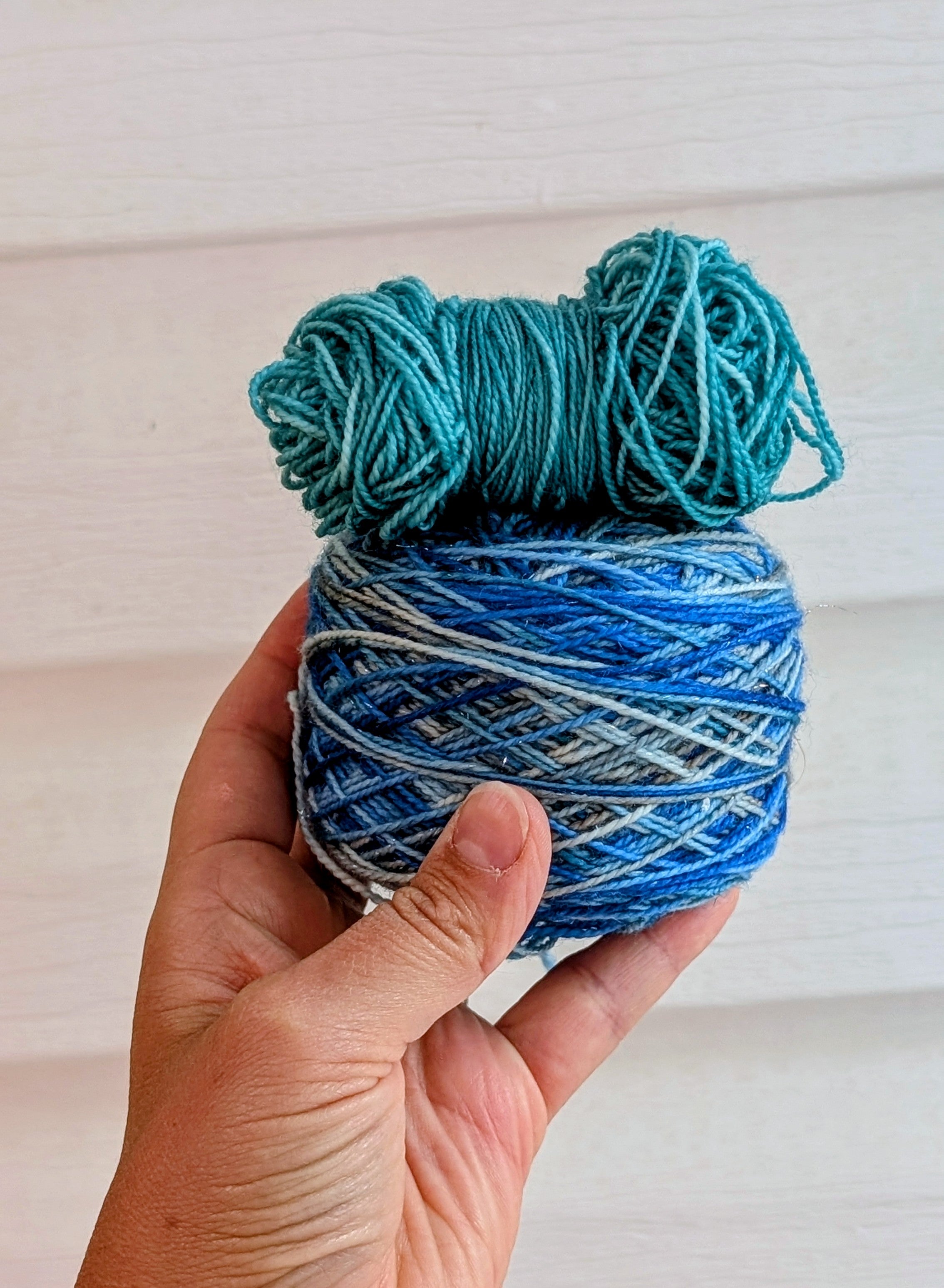 Sock Club d'août - La Grande Barrière de Corail