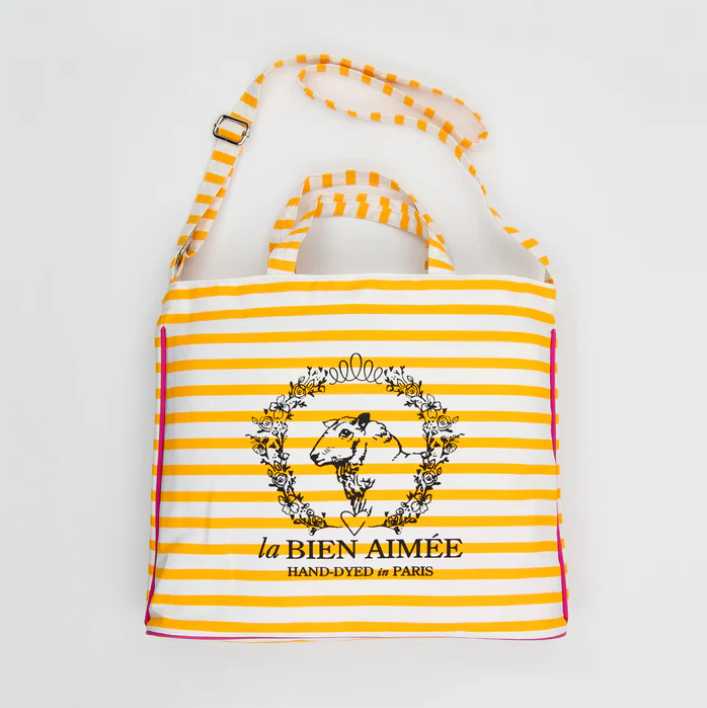 Aimée's Striped bag