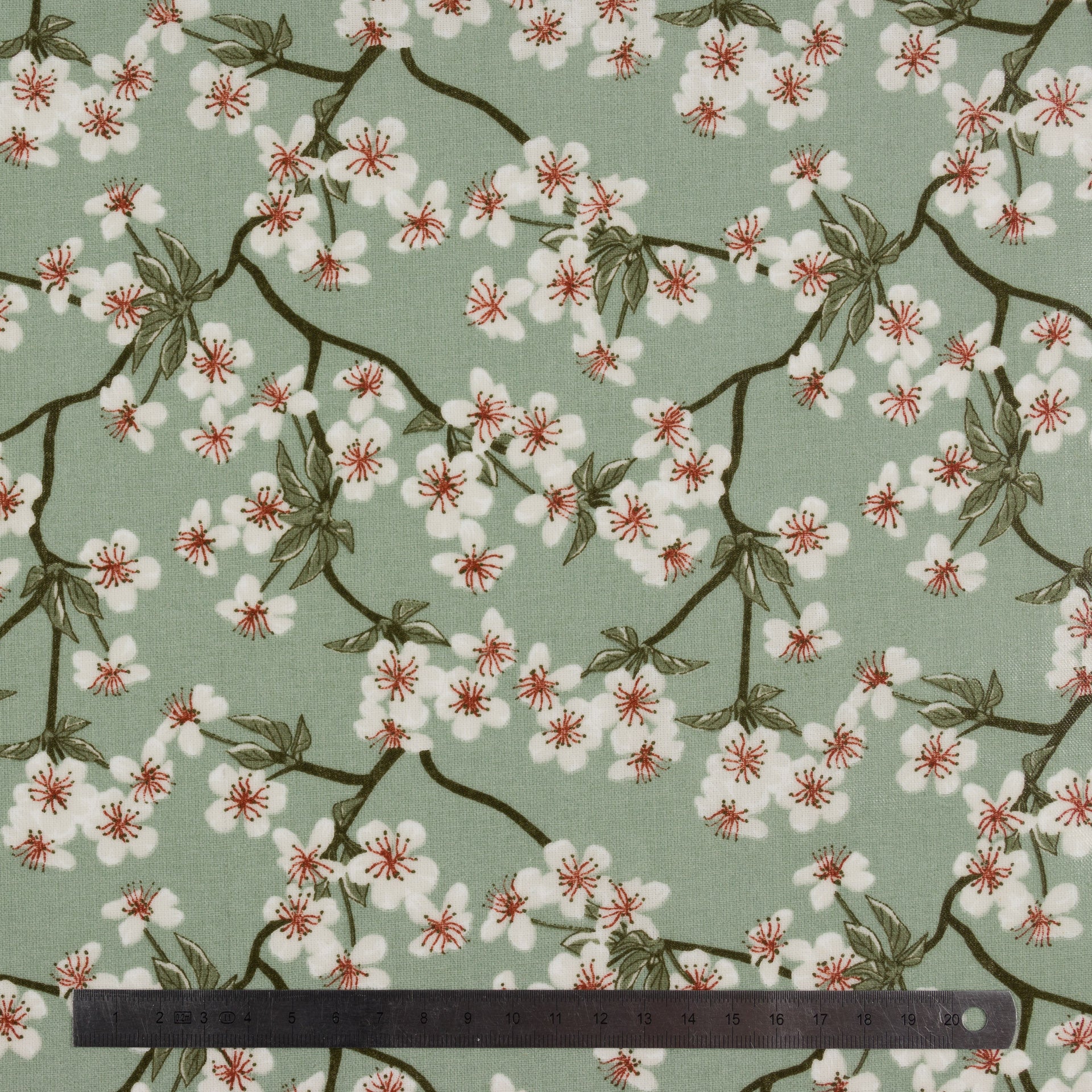Coton enduit - Coupon 50 x 70 cm
